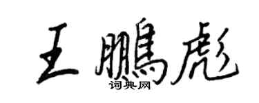 王正良王鹏彪行书个性签名怎么写