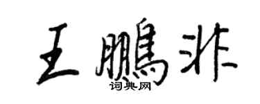 王正良王鹏非行书个性签名怎么写