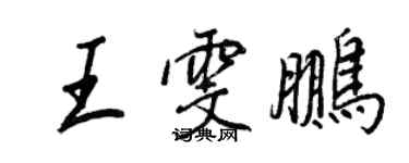 王正良王雯鹏行书个性签名怎么写