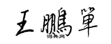 王正良王鹏单行书个性签名怎么写