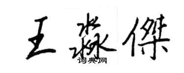 王正良王淼杰行书个性签名怎么写