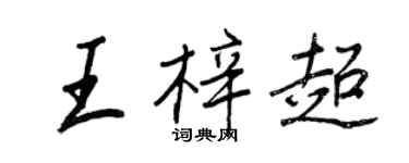 王正良王梓超行书个性签名怎么写