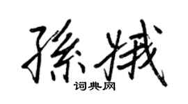王正良孙娥行书个性签名怎么写