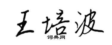王正良王培波行书个性签名怎么写