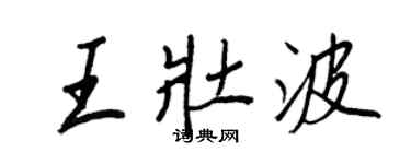 王正良王壮波行书个性签名怎么写