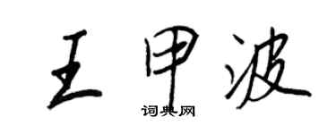 王正良王甲波行书个性签名怎么写