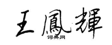 王正良王凤辉行书个性签名怎么写