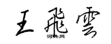 王正良王飞云行书个性签名怎么写