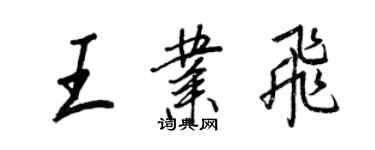 王正良王业飞行书个性签名怎么写