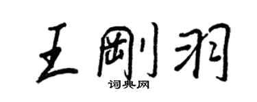 王正良王刚羽行书个性签名怎么写