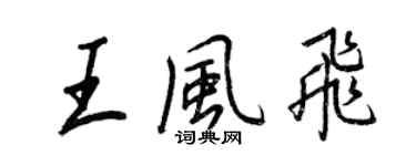 王正良王风飞行书个性签名怎么写