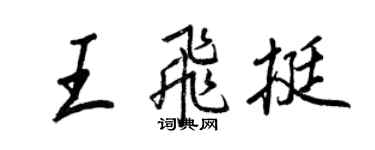 王正良王飞挺行书个性签名怎么写
