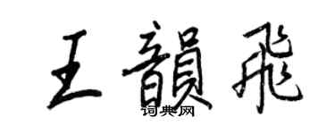 王正良王韵飞行书个性签名怎么写