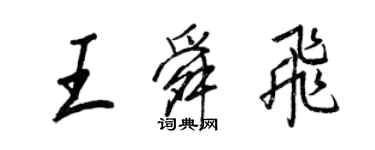 王正良王舜飞行书个性签名怎么写