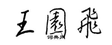 王正良王园飞行书个性签名怎么写