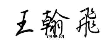 王正良王翰飞行书个性签名怎么写