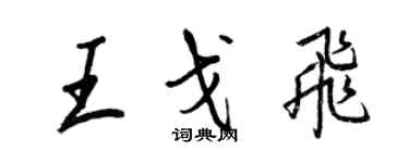 王正良王戈飞行书个性签名怎么写