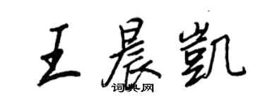 王正良王晨凯行书个性签名怎么写