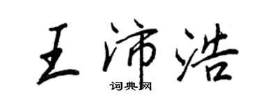 王正良王沛浩行书个性签名怎么写