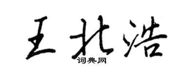王正良王北浩行书个性签名怎么写