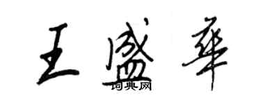 王正良王盛华行书个性签名怎么写