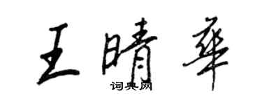 王正良王晴华行书个性签名怎么写