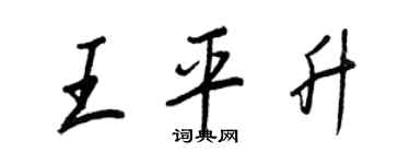 王正良王平升行书个性签名怎么写
