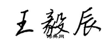 王正良王毅辰行书个性签名怎么写