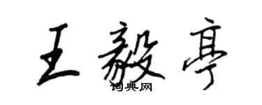 王正良王毅亭行书个性签名怎么写