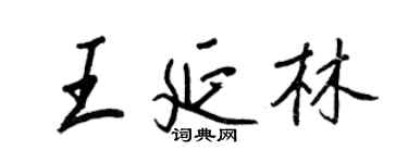 王正良王延林行书个性签名怎么写