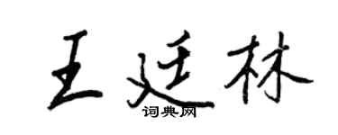 王正良王廷林行书个性签名怎么写