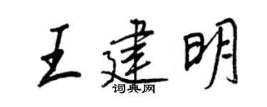 王正良王建明行书个性签名怎么写