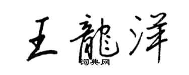 王正良王龙洋行书个性签名怎么写