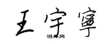 王正良王宇宁行书个性签名怎么写