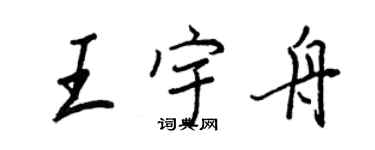 王正良王宇舟行书个性签名怎么写