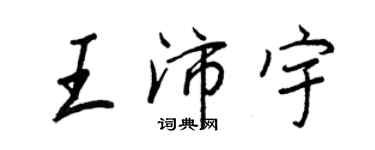 王正良王沛宇行书个性签名怎么写