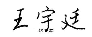 王正良王宇廷行书个性签名怎么写