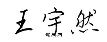 王正良王宇然行书个性签名怎么写