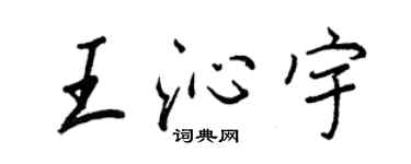 王正良王沁宇行书个性签名怎么写