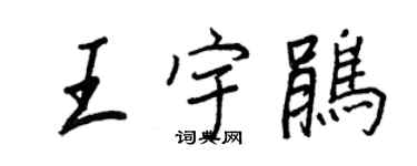 王正良王宇鹃行书个性签名怎么写