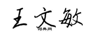 王正良王文敏行书个性签名怎么写