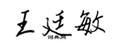 王正良王廷敏行书个性签名怎么写