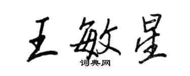 王正良王敏星行书个性签名怎么写