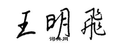 王正良王明飞行书个性签名怎么写