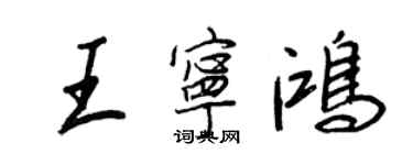 王正良王宁鸿行书个性签名怎么写