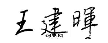 王正良王建晖行书个性签名怎么写
