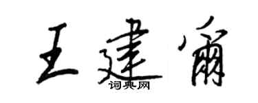 王正良王建尔行书个性签名怎么写