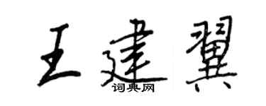 王正良王建翼行书个性签名怎么写