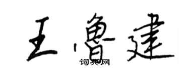 王正良王鲁建行书个性签名怎么写