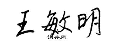王正良王敏明行书个性签名怎么写